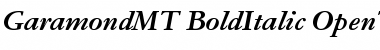 Download Garamond MT Bold Italic Font