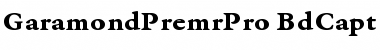 Download Garamond Premier Pro Bold Caption Font