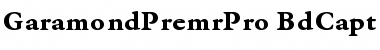 Download Garamond Premier Pro Bold Caption Font