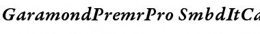 Download Garamond Premier Pro Semibold Italic Caption Font