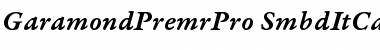 Download Garamond Premier Pro Semibold Italic Caption Font
