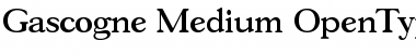 Download Gascogne-Medium Regular Font Title Preview
