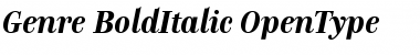 Download Genre Bold Italic Font Title Preview