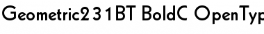 Download Geometric 231 Bold Font Title Preview