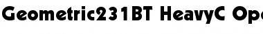 Download Geometric 231 Heavy Font Title Preview