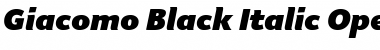 Download Giacomo MD Black Italic Font Title Preview