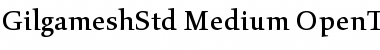 Download Gilgamesh Std Medium Font Title Preview