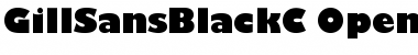 Download GillSansBlackC Regular Font Title Preview