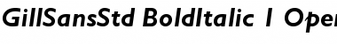 Download Gill Sans Std Bold Italic Font Title Preview