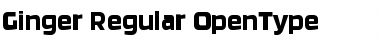 Download Ginger-Regular Regular Font Title Preview