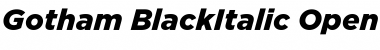 Download Gotham BlackItalic Font