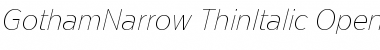 Download Gotham Narrow Thin Italic Font