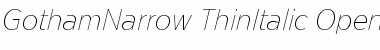 Download Gotham Narrow Thin Italic Font Title Preview