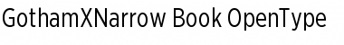 Download Gotham XNarrow Book Font Title Preview