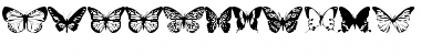 Download butterflips Regular Font Title Preview