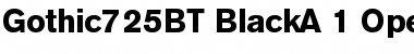 Download Gothic 725 Black Font Title Preview