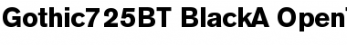 Download Gothic 725 Black Font Title Preview