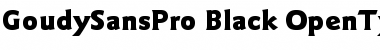 Download ITC Goudy Sans Pro Black Font Title Preview