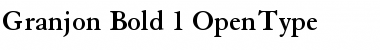 Download Granjon Bold Font Title Preview