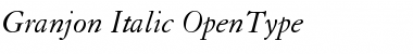 Download Granjon Italic Font Title Preview