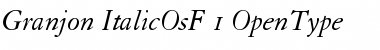 Download Granjon Italic Old Style Figures Font Title Preview