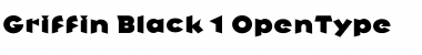 Download Griffin Regular Font Title Preview