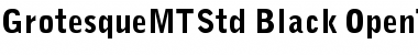 Download Grotesque MT Std Black Font