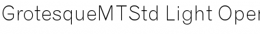 Download Grotesque MT Std Light Font