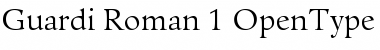 Download Guardi 55 Roman Font Title Preview