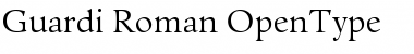 Download Guardi 55 Roman Font Title Preview