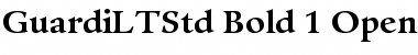 Download Guardi LT Std 75 Bold Font Title Preview