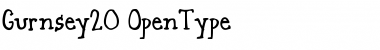 Download Gurnsey 20 Font Title Preview