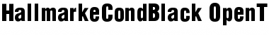 Download Hallmarke CondBlack Font