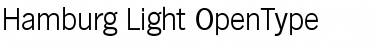 Download Hamburg-Light Regular Font Title Preview