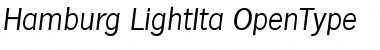 Download Hamburg-LightIta Regular Font Title Preview