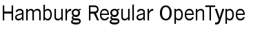 Download Hamburg-Regular Regular Font Title Preview