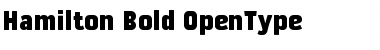 Download Hamilton Bold Font Title Preview
