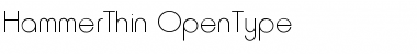 Download HammerThin Regular Font Title Preview