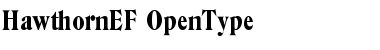 Download HawthornEF Regular Font Title Preview