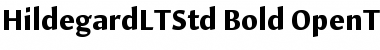 Download Hildegard LT Std Bold Font