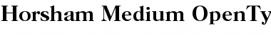 Download Horsham-Medium Regular Font Title Preview