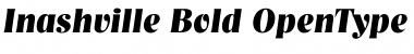 Download Inashville Bold Font Title Preview