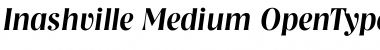 Download Inashville Medium Font Title Preview