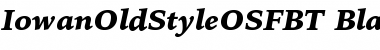 Download Bitstream Iowan Old Style Black Italic OSF Font