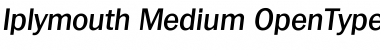 Download Iplymouth Medium Font Title Preview