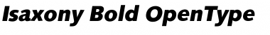 Download Isaxony Bold Font Title Preview