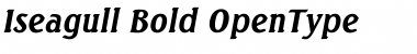 Download Iseagull Bold Font Title Preview