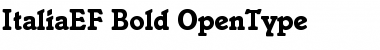 Download ItaliaEF-Bold Regular Font Title Preview