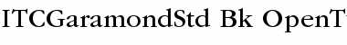 Download ITC Garamond Std Book Font Title Preview