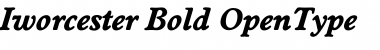 Download Iworcester Bold Font Title Preview